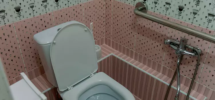 Meeting Diverse Needs With Accessible Restroom Solutions in Reston, VA